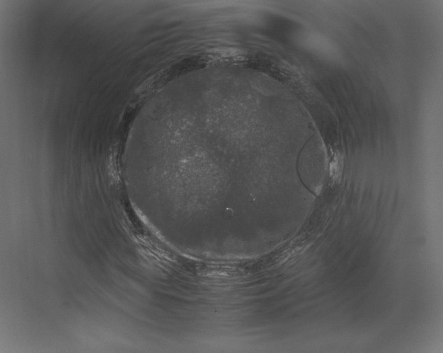 X0000074030819200609061139