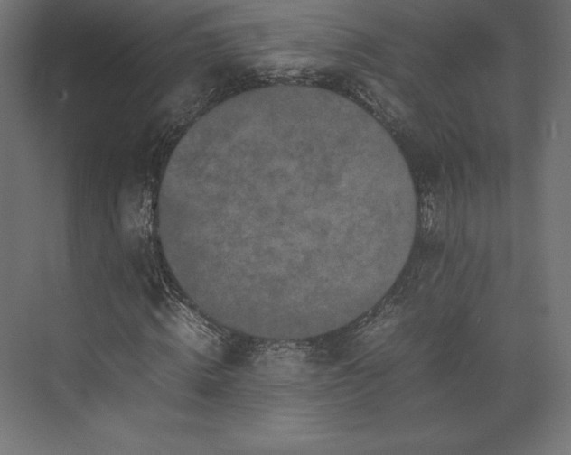 X0000074030820200609061139