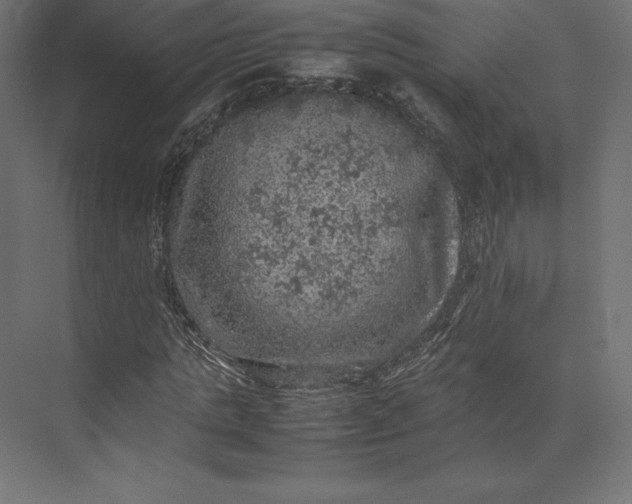 X0000074030821200609061139