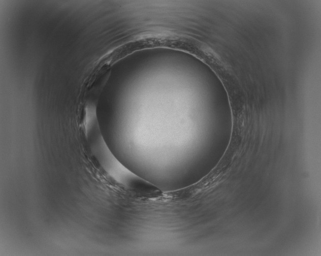 X0000074030822200609061139