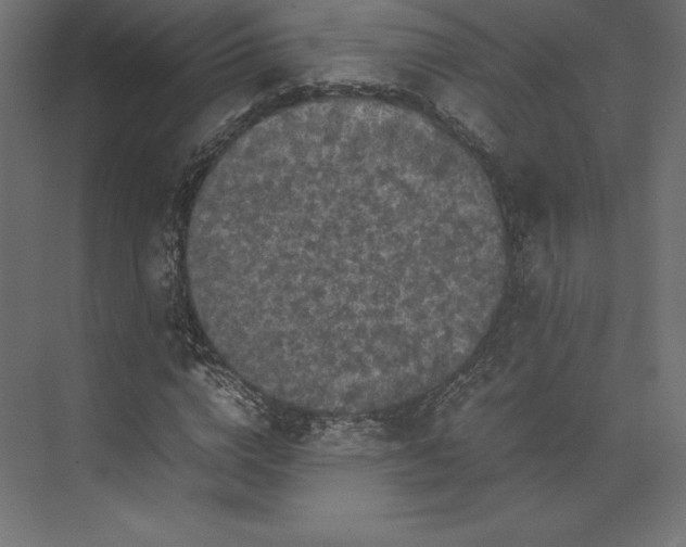 X0000074030824200609061139