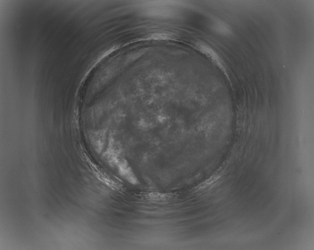 X0000074030827200609061139