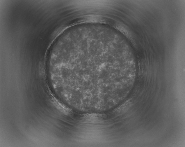 X0000074030828200609061139