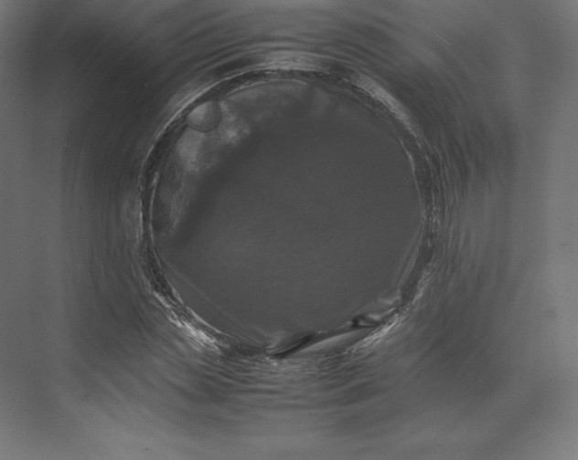 X0000074030829200609061139