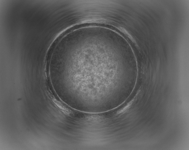 X0000074030830200609061139