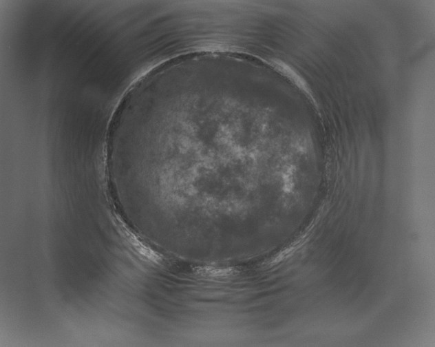 X0000074030831200609061139