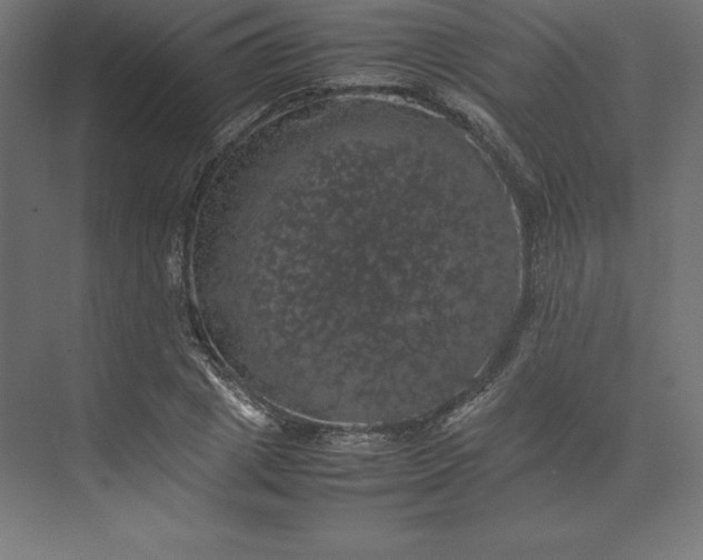 X0000074030833200609061139