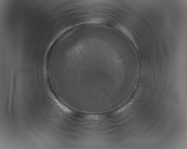 X0000074030835200609061139