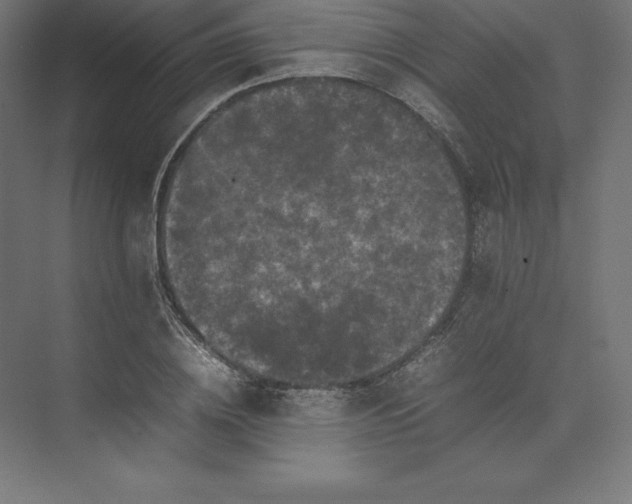 X0000074030836200609061139