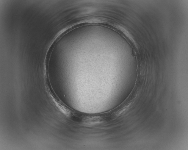 X0000074030837200609061139