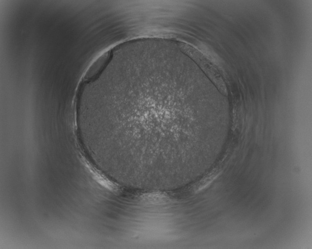 X0000074030838200609061139