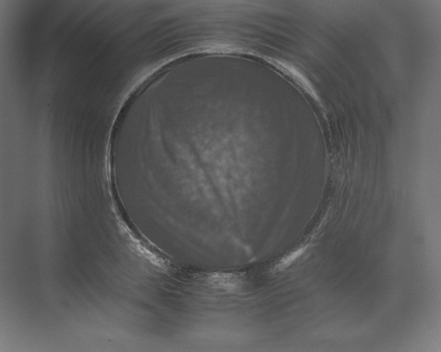 X0000074030839200609061139