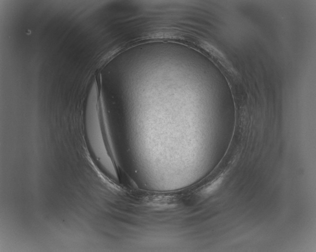 X0000074030841200609061139