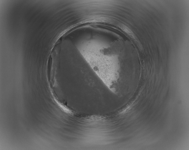 X0000074030842200609061139