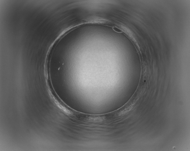 X0000074030843200609061139