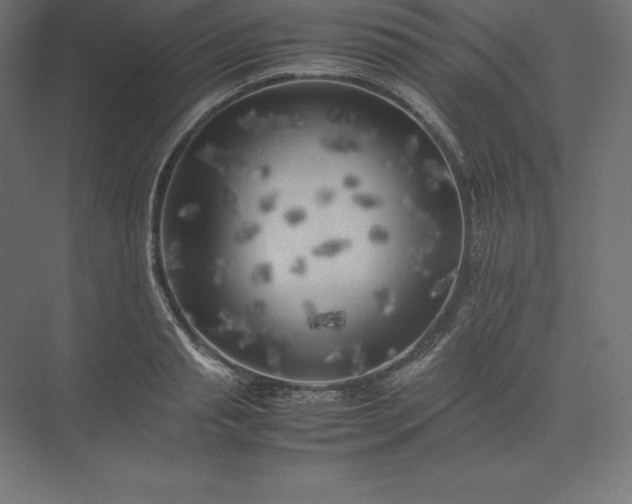 X0000074030845200609061139