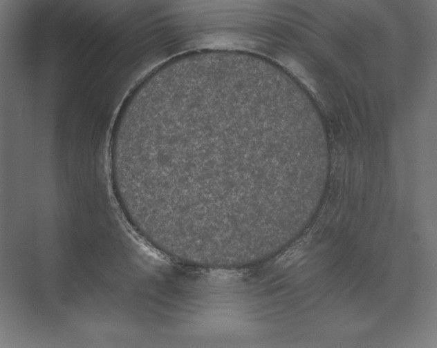 X0000074030848200609061140