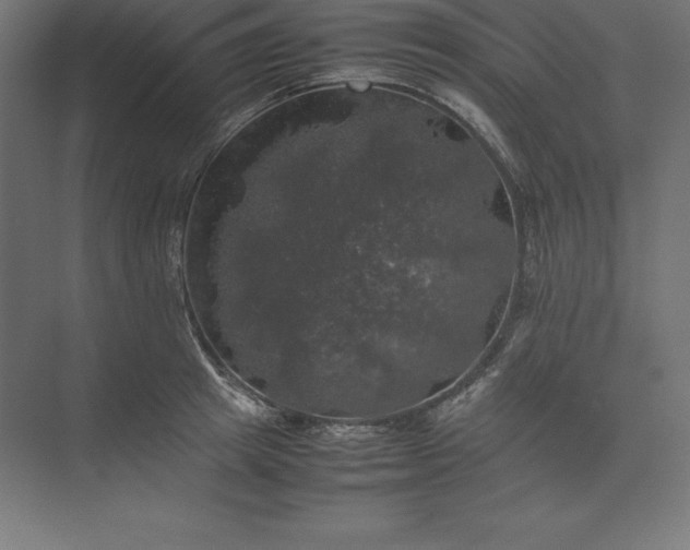 X0000074030849200609061140