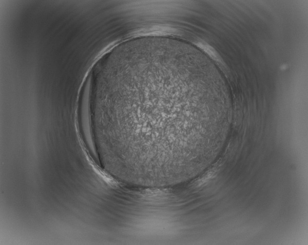 X0000074030850200609061140