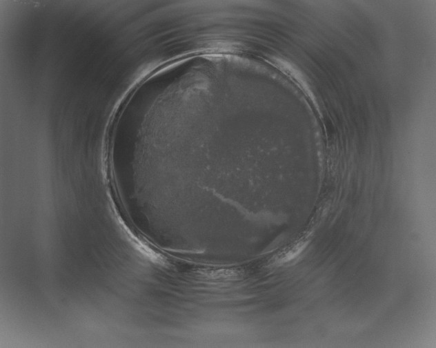 X0000074030851200609061140