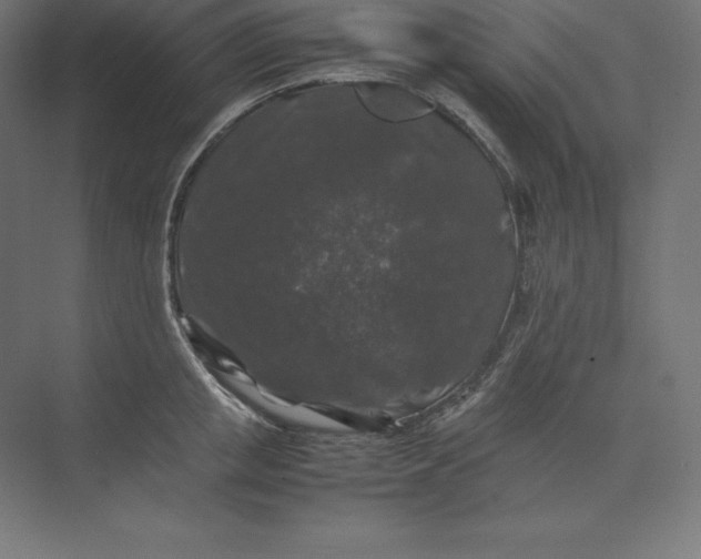 X0000074030853200609061140