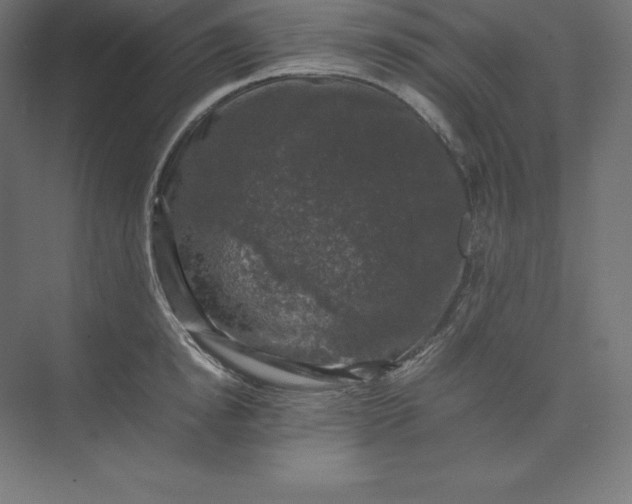 X0000074030854200609061140