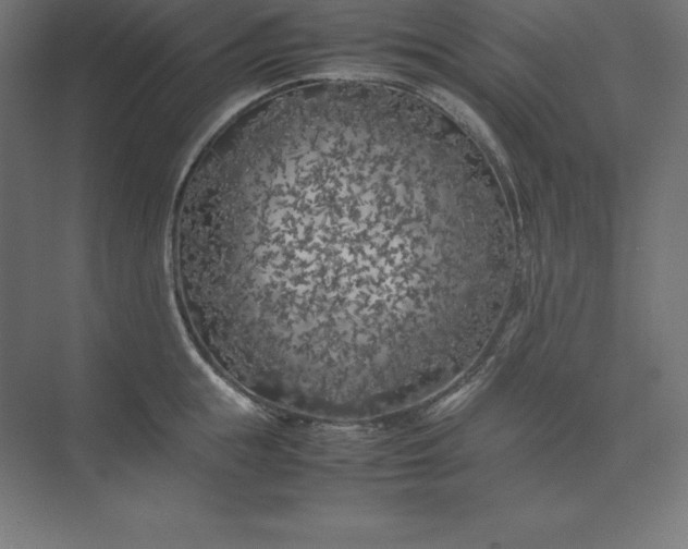 X0000074030855200609061140