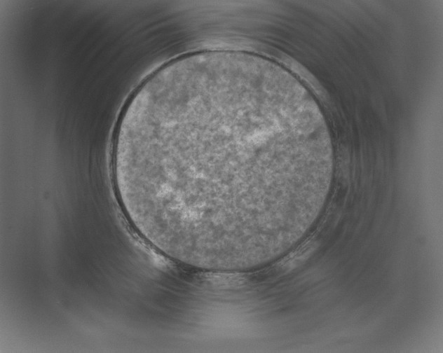 X0000074030856200609061140