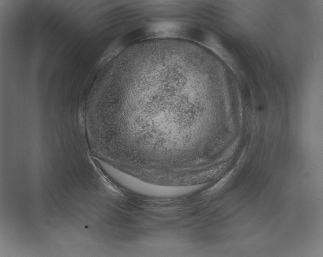 X0000074030857200609061140