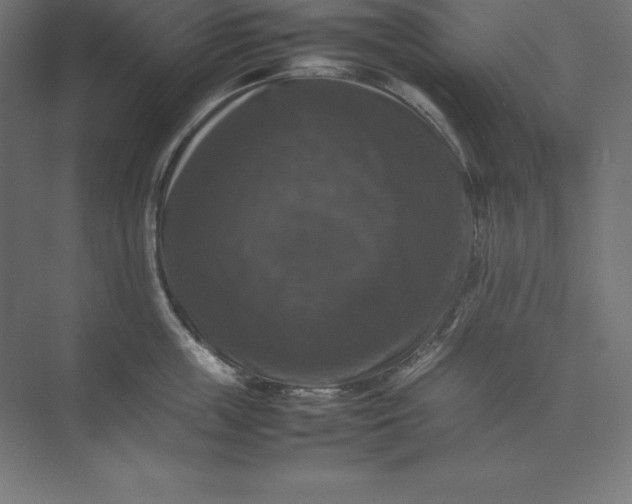 X0000074030859200609061140