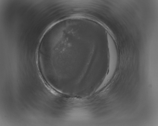 X0000074030862200609061140