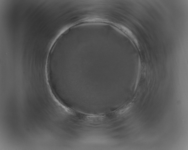 X0000074030863200609061140