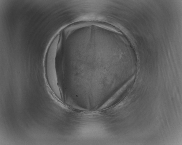 X0000074030864200609061140