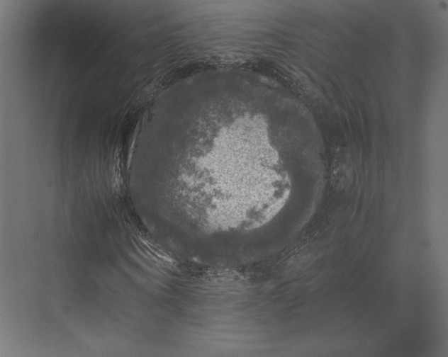 X0000074030866200609061139