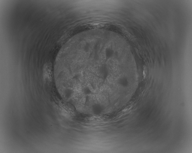 X0000074030867200609061139