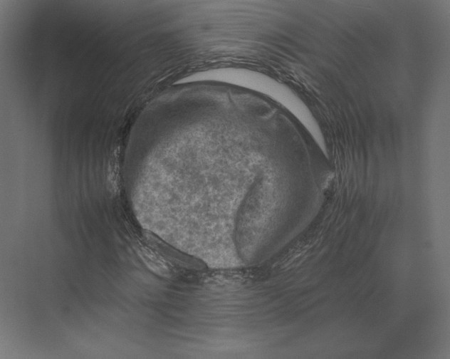 X0000074030868200609061139