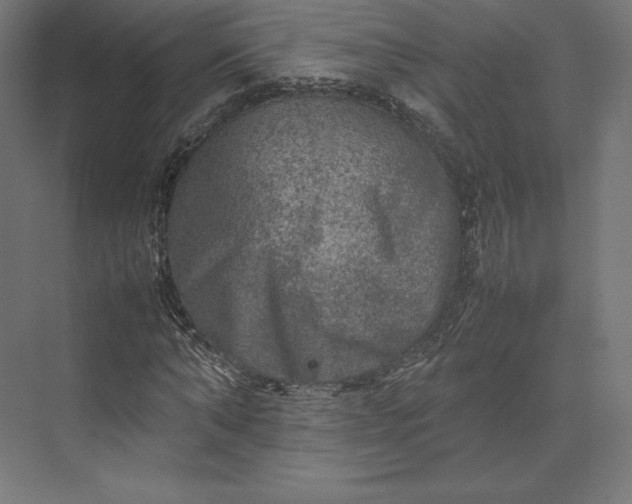 X0000074030870200609061139