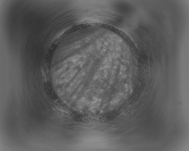 X0000074030871200609061139