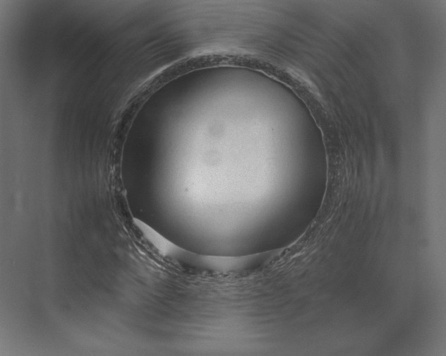 X0000074030872200609061139