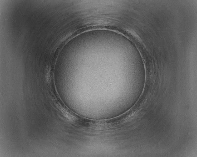 X0000074030873200609061139