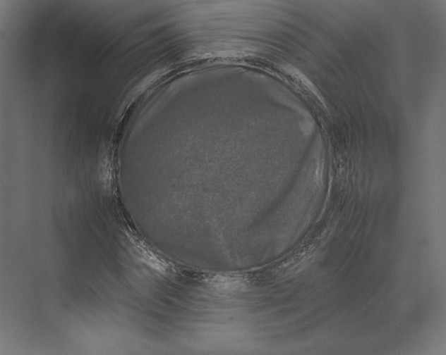 X0000074030874200609061139