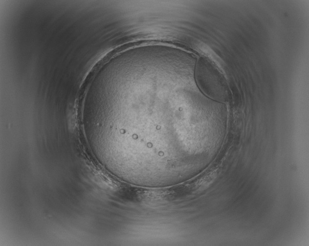 X0000074030875200609061139