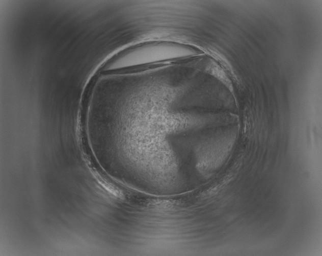 X0000074030880200609061139