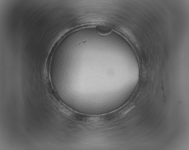 X0000074030883200609061139