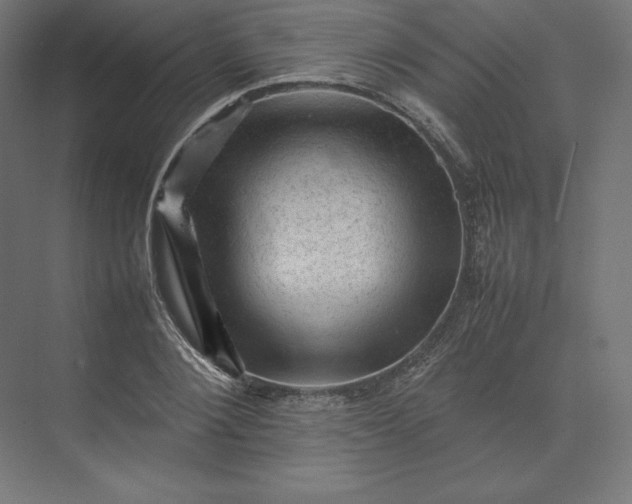 X0000074030884200609061139