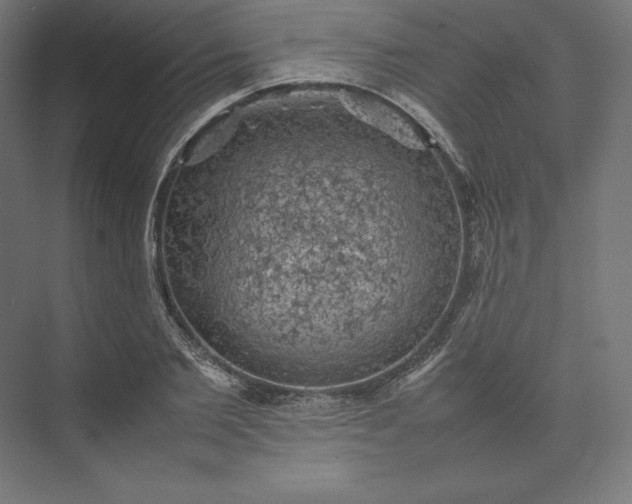 X0000074030885200609061139