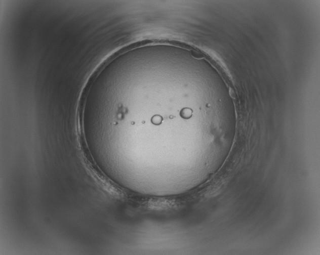 X0000074030887200609061139