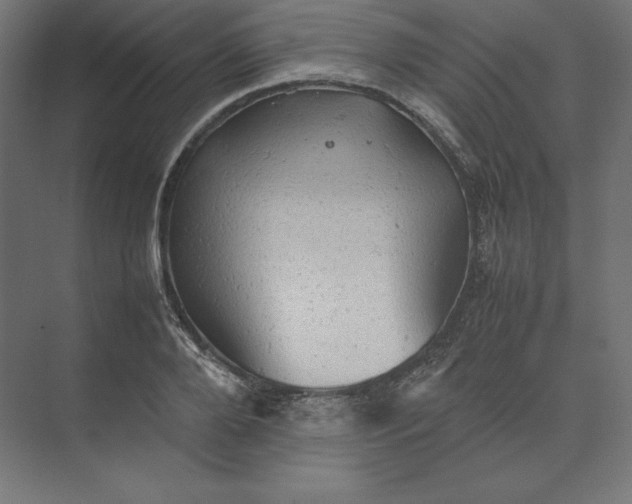 X0000074030888200609061139