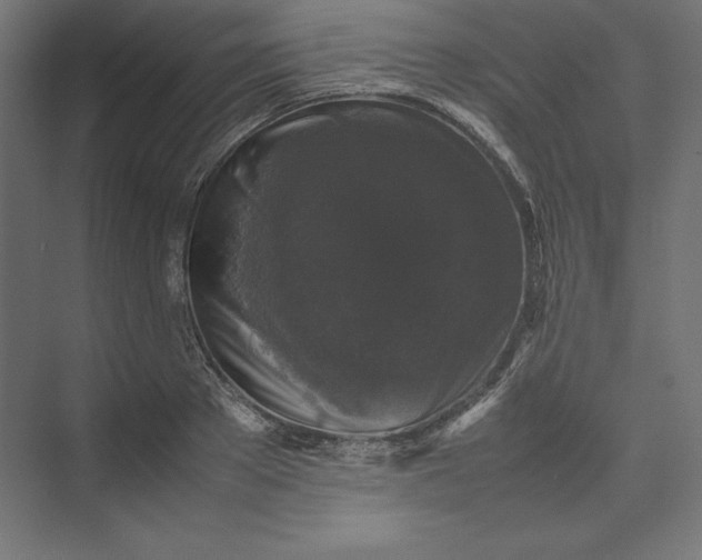 X0000074030889200609061139