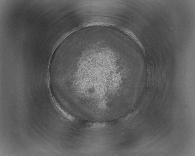 X0000074030890200609061139